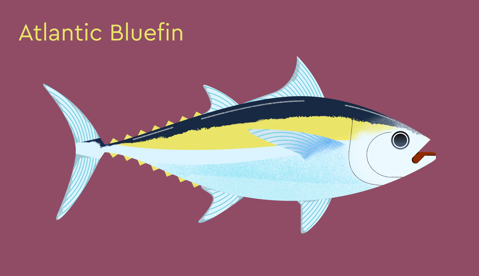 tuna