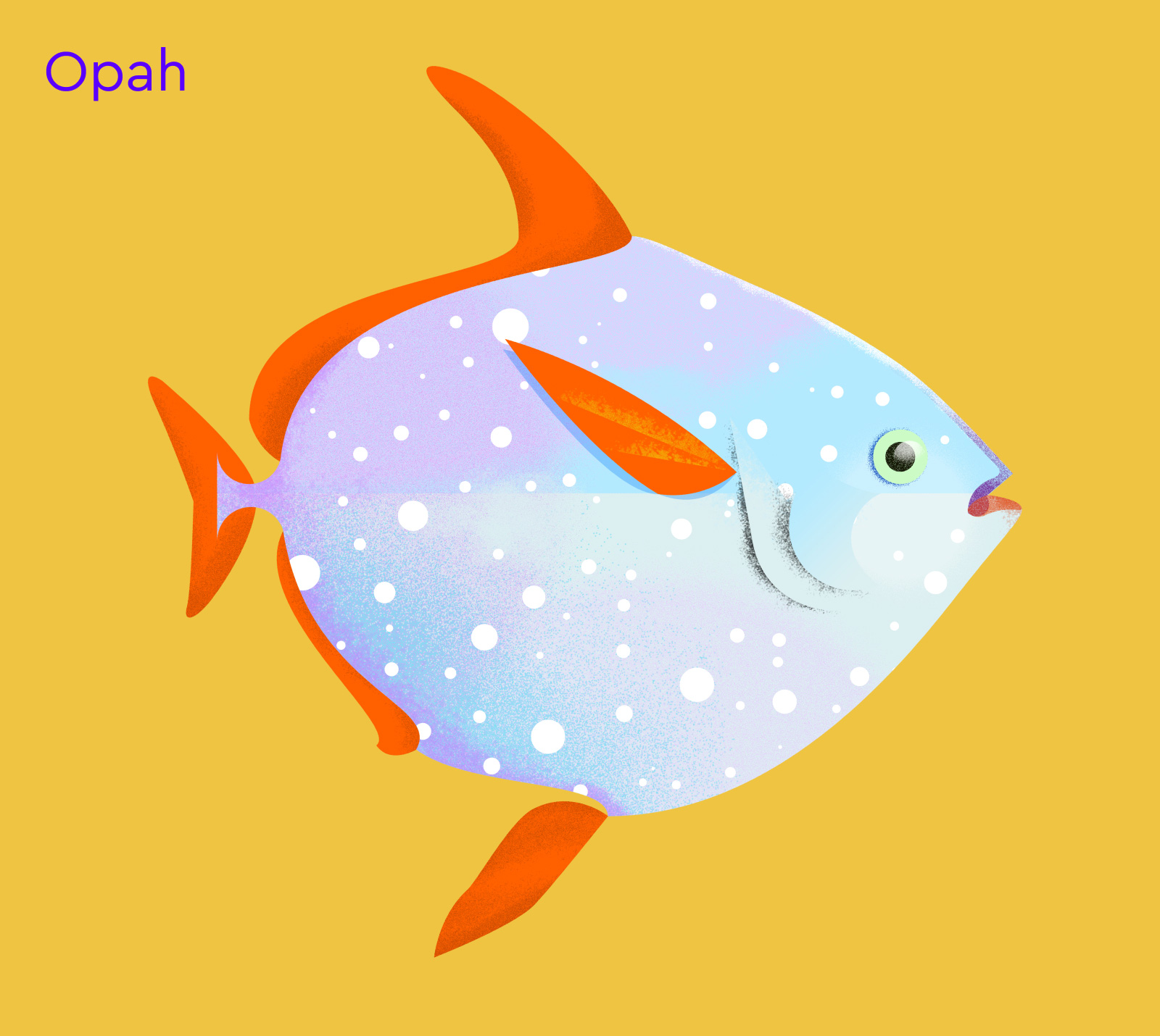 opah