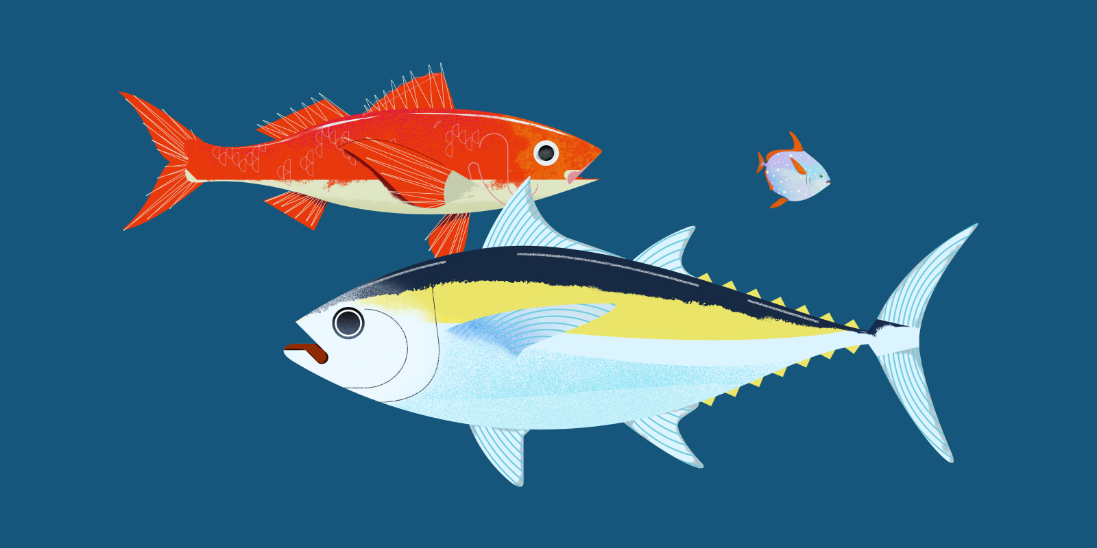 all fish